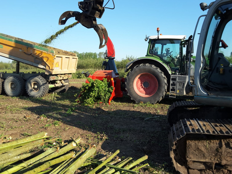 Hout Versnipperen De Latthauwer Martin bvba